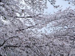 -苏州上方山国家森林公园