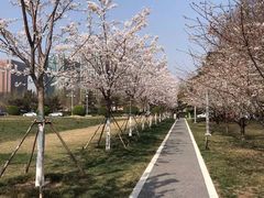 -泰丰公园
