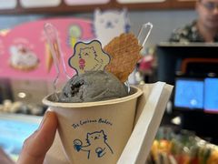 -The Daily Fix Cafe
