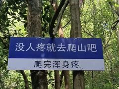 -泰山风景名胜区