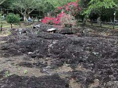 -海口火山口国家地质公园