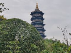 -重庆园博园