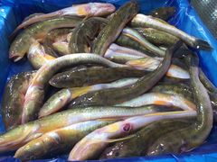 -三旗百汇商品城