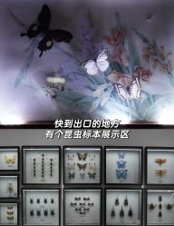 -酷嗒动物文化乐园(cutezoo西溪乐天城店)