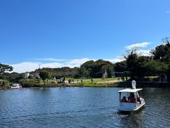 -济州森林小火车生态公园