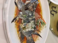 -骏莱海鲜鱼港(五角场店)