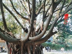 -南沙天后宫景区