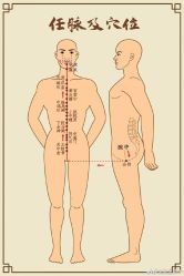 -康乃馨·馨悦佳人(鹭江店)