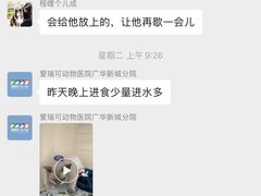 -瑞派·爱瑞可动物医院·口腔专科(广华新城分院)