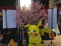 -鹏欣水游城