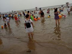 -碧海金沙