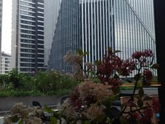 -凤凰湘语·湘粤鲜融(浦东旗舰店)