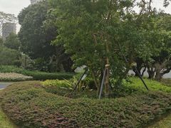 -四海公园(南山区)
