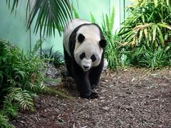 -宿豫区运河湾森林动物园