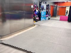 -健身专家Wellness Experts