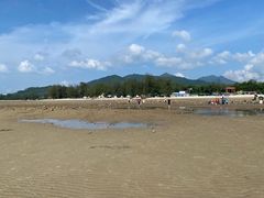 -广东惠东海龟国家级自然保护区