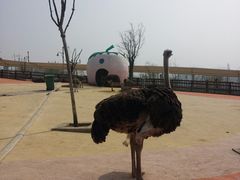 -白鹿原影视城