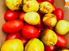 -新发展亚太JW万豪酒店·福苑咖啡厅