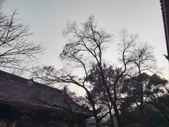 -鼓楼(西湖风景名胜区)