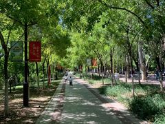 -南翠屏公园