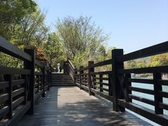 -白马涧龙池景区