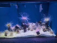 -上海海洋水族馆