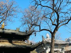 -护国法轮寺