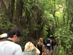 -怀托摩萤火虫洞