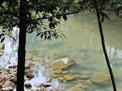 -广州白江湖森林公园