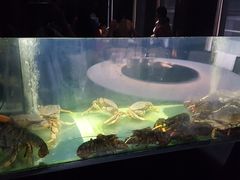 -同乐海鲜(乌节路中央店)