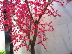 -丽池宫韩式汗蒸会馆(华灯坊店)