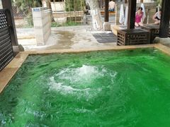 -春晖园度假酒店温泉