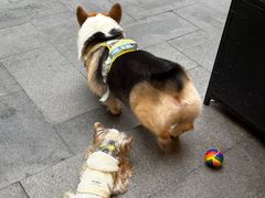 -Money Shops(愚园路店)