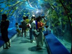 -福州罗源湾海洋世界旅游区