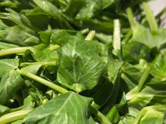 -普洱小黄牛餐厅铜火锅·思茅地方菜(世纪城店)