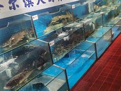 水产区-胖姐渔村(中源大道店)