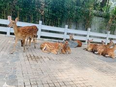 -北京野生动物园