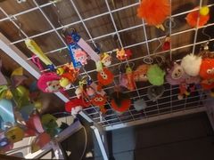 -刘一锅筋头巴脑(王府井店)