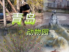 -青岛动物园