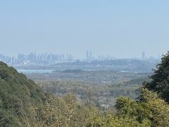 -韬光茶庵