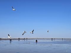-天津东疆湾沙滩景区