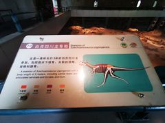 -自贡恐龙博物馆