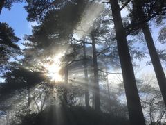 -黄山北海宾馆
