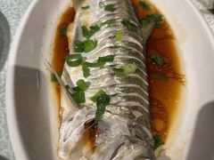 -金美华轩(东方路齐鲁店)