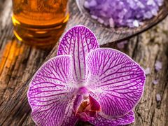 -茶颜悦色(登高路上店)