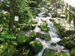 -陕西省红河谷森林公园