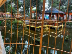 -二荆条·蜀鲜汇城市森林火锅