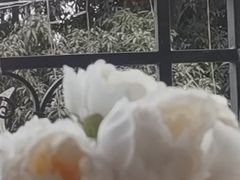 -汤姆大师傅鲜香牛肉饼(深圳保利文化广场店)