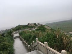-洋山深水港