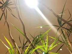 -村外有星光小食铺(长嘉汇店)